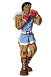 SF2 Boxer by senorfro