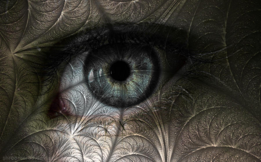 Fragmental Eye Fractal Eye by Shroomer83 on DeviantArt
