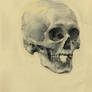 Skeleton Head