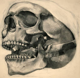 Charcoal and Bone V