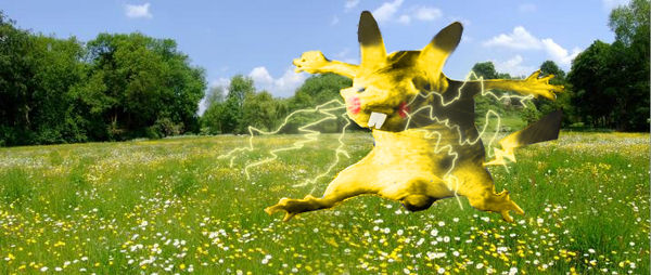 False Pikachu Real Fake Pikachu1 by felixneko7 on DeviantArt