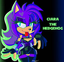 Color Pop Ciara the Hedgehog! by PhaennaMir