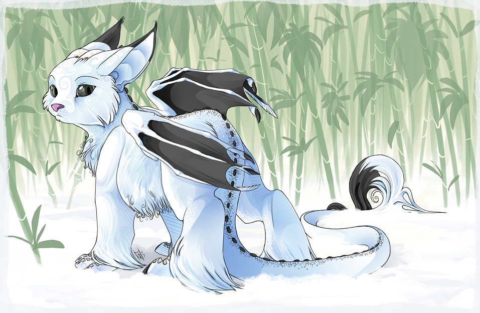 .Amongst The Snowdrifts. by Andoledius