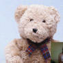Why am I talking to a bear?