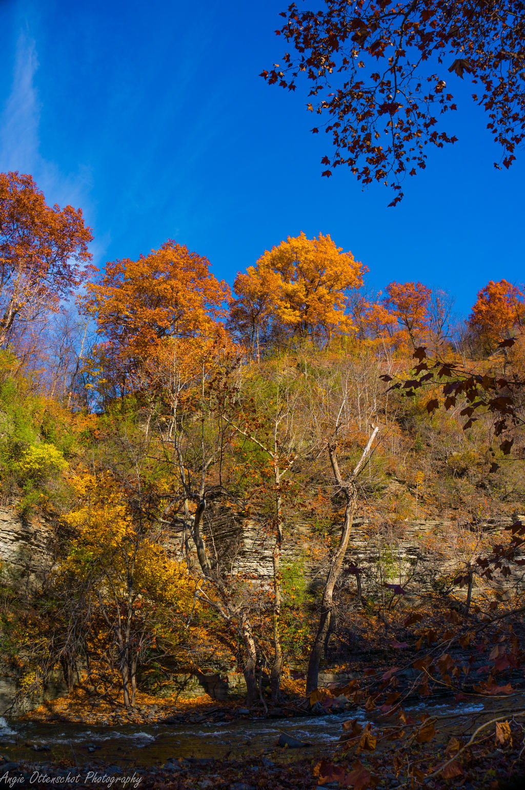 Autumn Beauty Cliffside