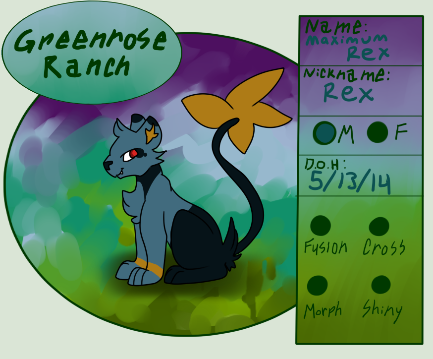 Maximum Rex the Shinx