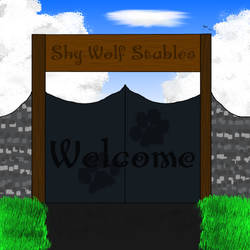 Welcome to Shy Wolf Stables