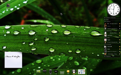 Linux Mint Desktop