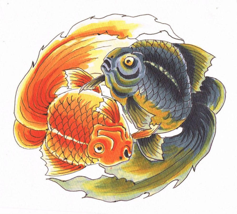 Fish Flash Design Fighting Fish Flash Art by unrested on DeviantArt