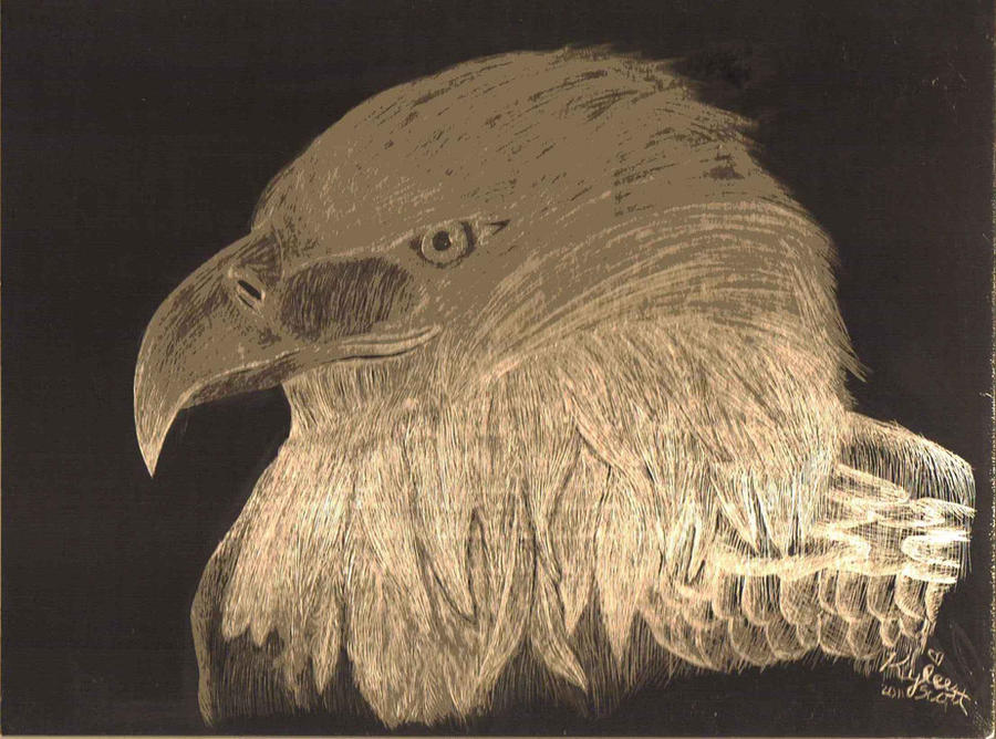 Eagle Scratch Math Eagle Scratch Board by acdcfan1234 on DeviantArt