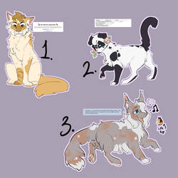 Generated Warriors Adopts! #2