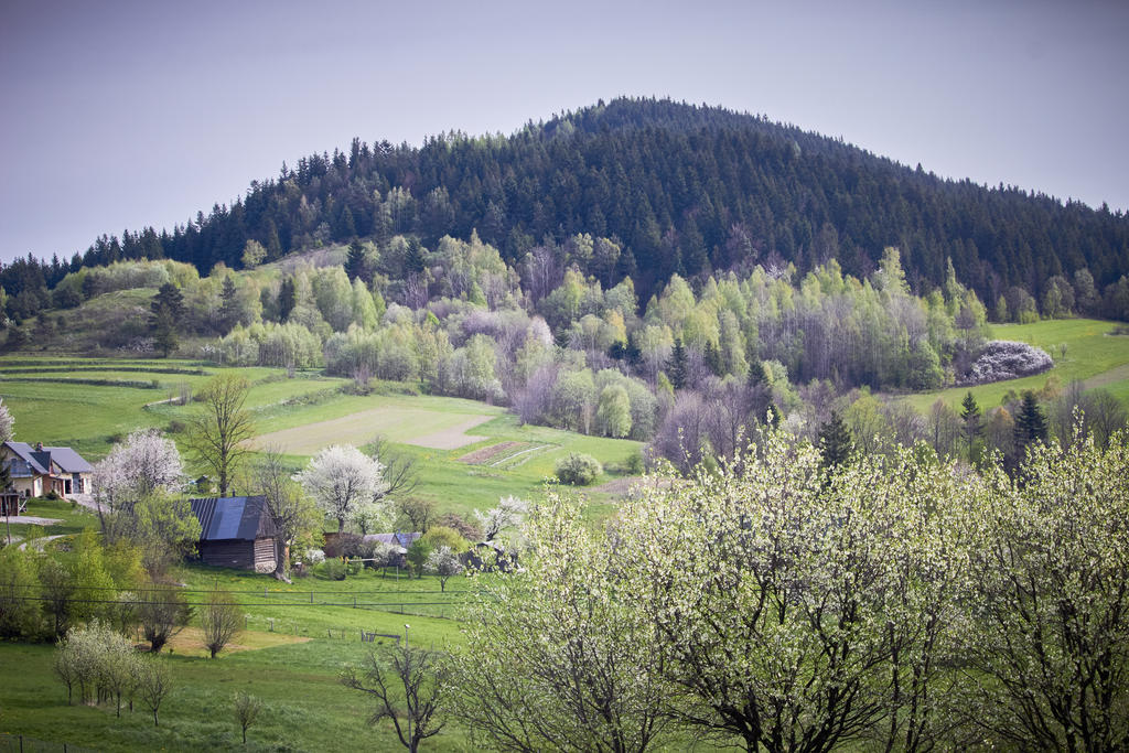 Spring Real We have the real spring now by MarcinFilinger on DeviantArt