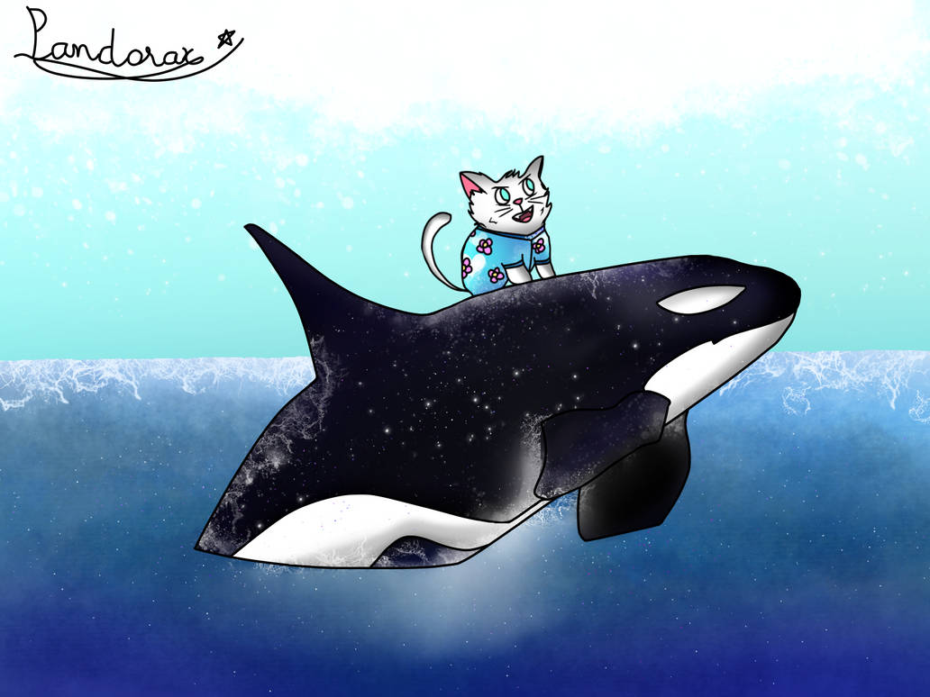 Kucing Orca Orca Cat by Pandorax0918 on DeviantArt