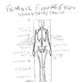 Beginner Figure Drawing/Female 8 heads