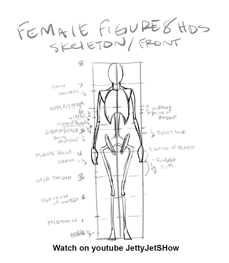 Beginner Figure Drawing/Female 8 heads by THEJETTYJETSHOW