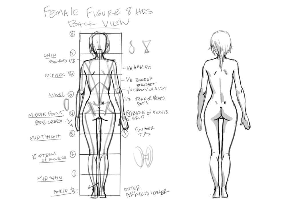 Female Figure back view tutorial