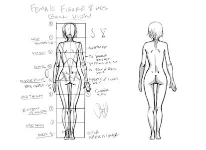 Female Figure back view tutorial