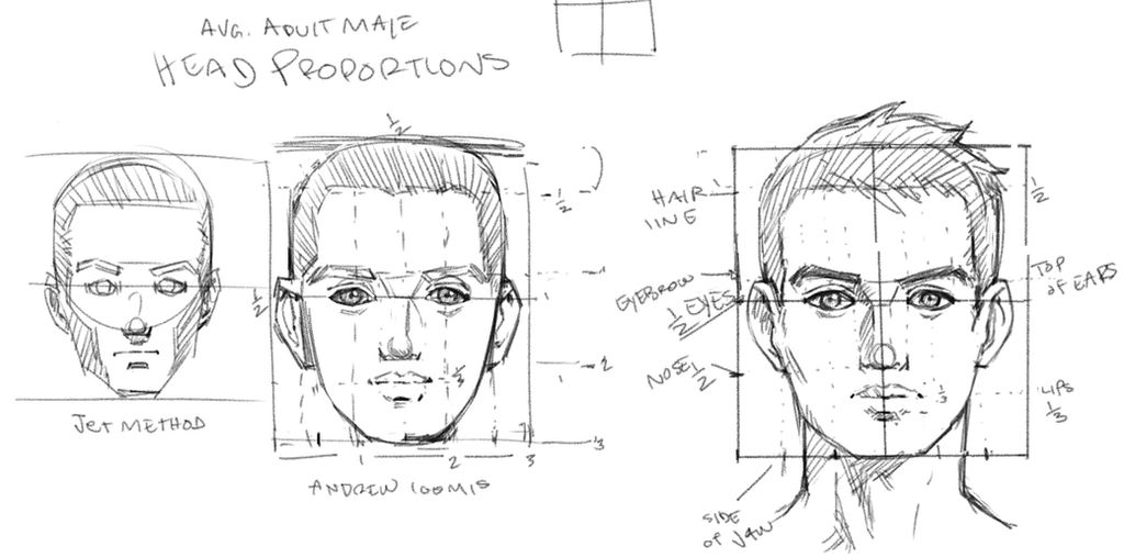 How to Draw The Front View of The Male Head