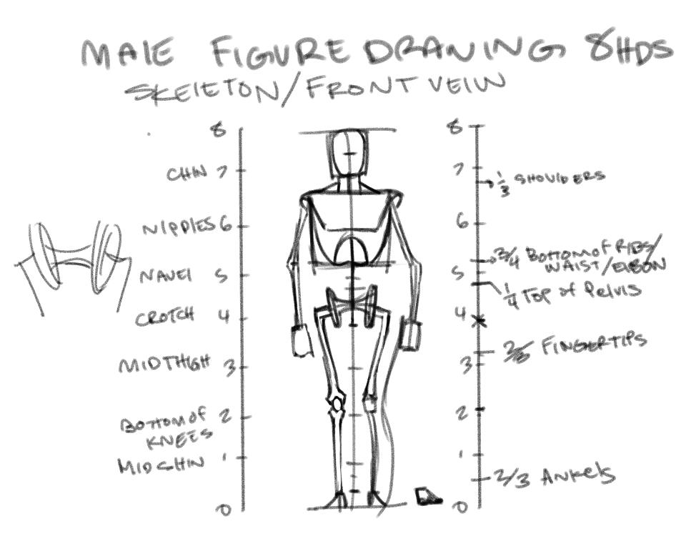 Man Figure Structure Male Figure by THEJETTYJETSHOW on DeviantArt