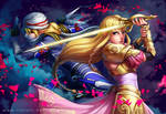 Hyrule Warriors - The Princess and her Shadow