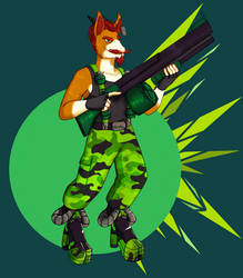 ::COM:: Hugo K. Boohm