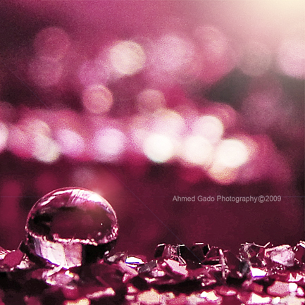 bokeh and drop