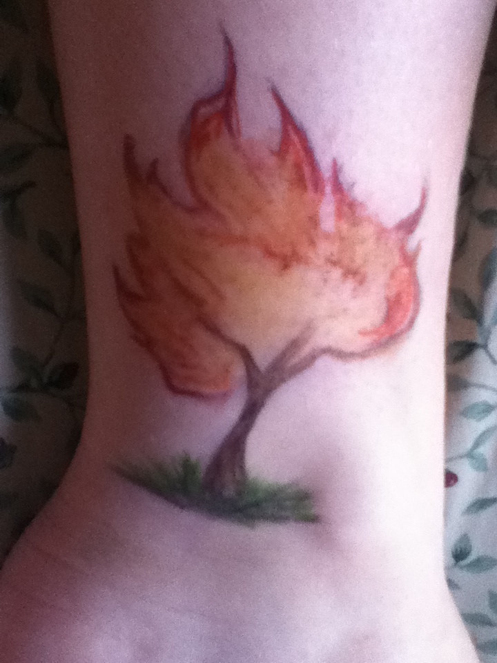 The Burning Bush