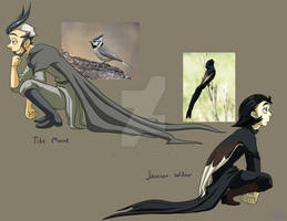 Character Designs: Birds