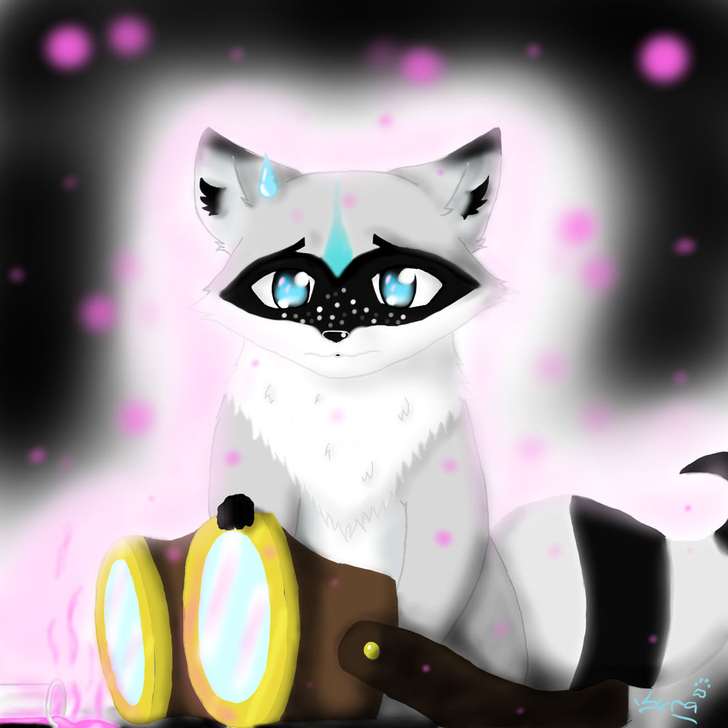 Racoon Varian by Lyrawolf2000 on DeviantArt