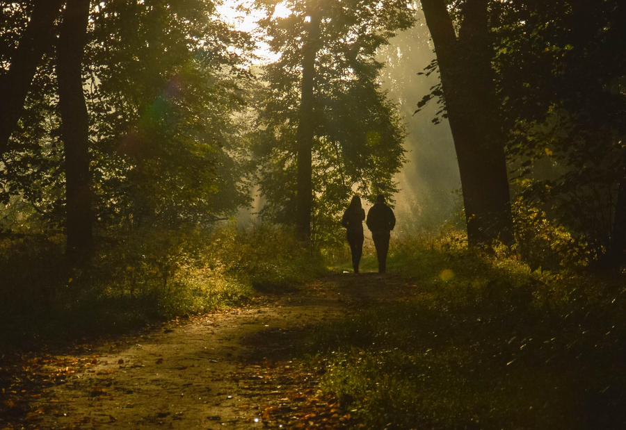 Morning Walk In The Woods By Strcplp3 On DeviantArt morning-walk-in-the-woods-by-strcplp3-on-deviantart