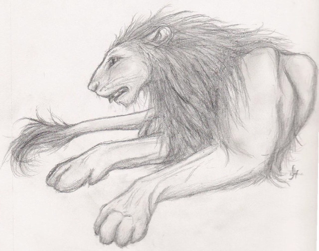 Lion