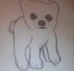 Polar Bear