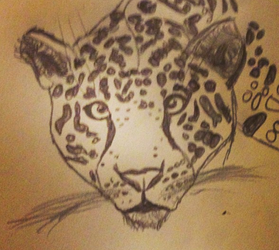 Terrible Leopard Drawing