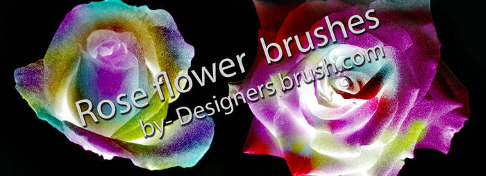 Rose flower brushes