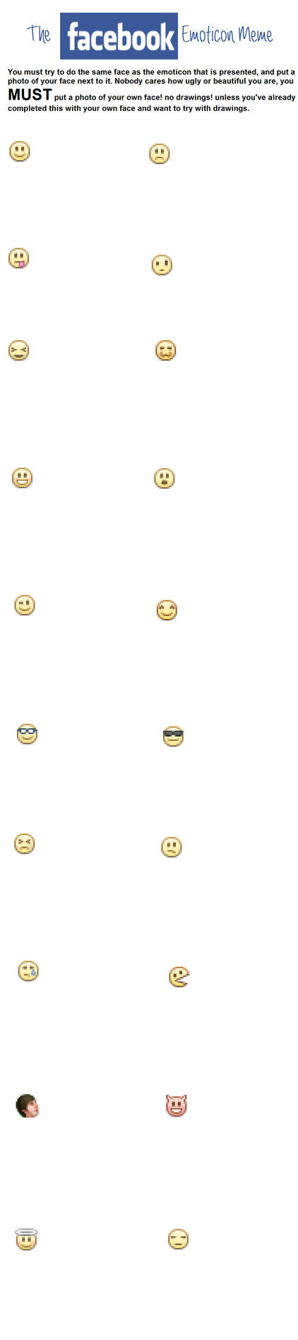 The Facebook Emoticon Meme