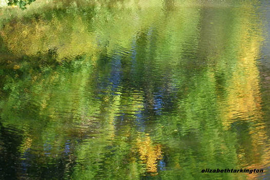 WATER REFLECTIONS III