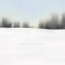 Snowy Field Background