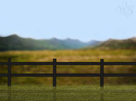 WSE Residence Background