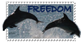 Freedom Stamp