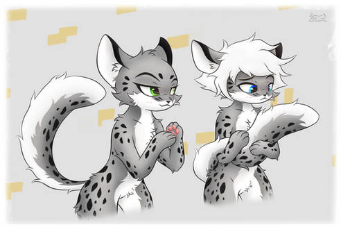 [Changed] Snow Leopard and Colin