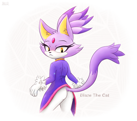 [Sonic The Hedgehog] Blaze The Cat 2