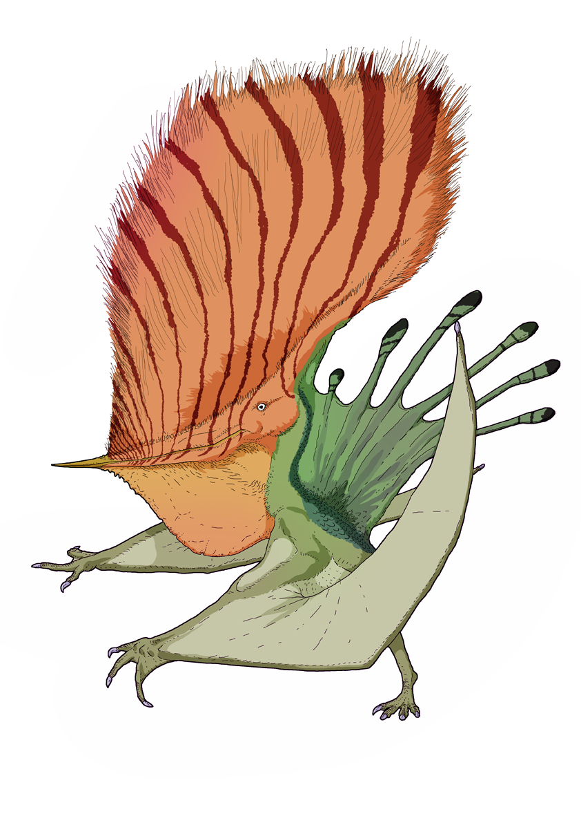 David Peters' Pteranodon