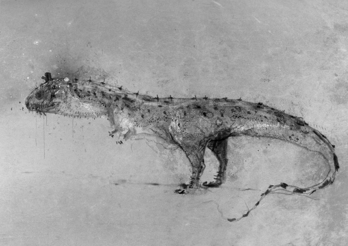 Majungasaurus crenatissimus