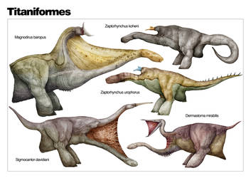 The Diversity of Titaniformes