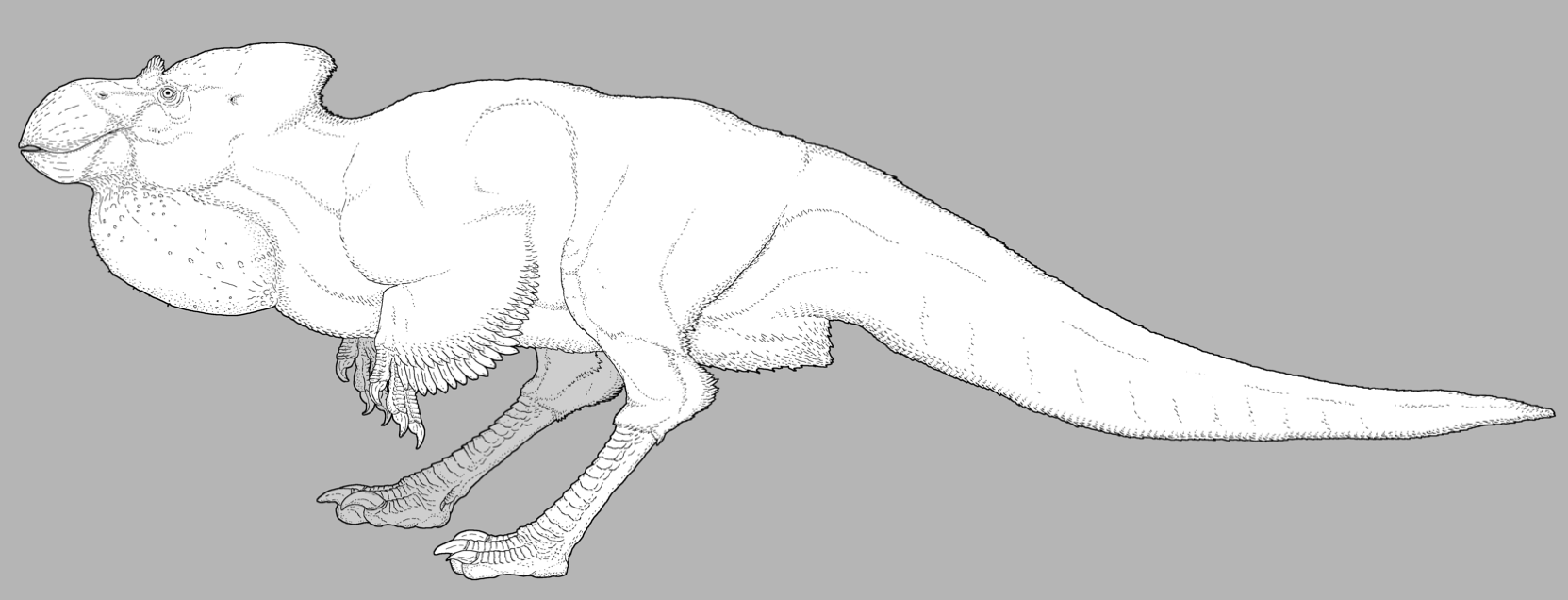 Robust Dinosauroid