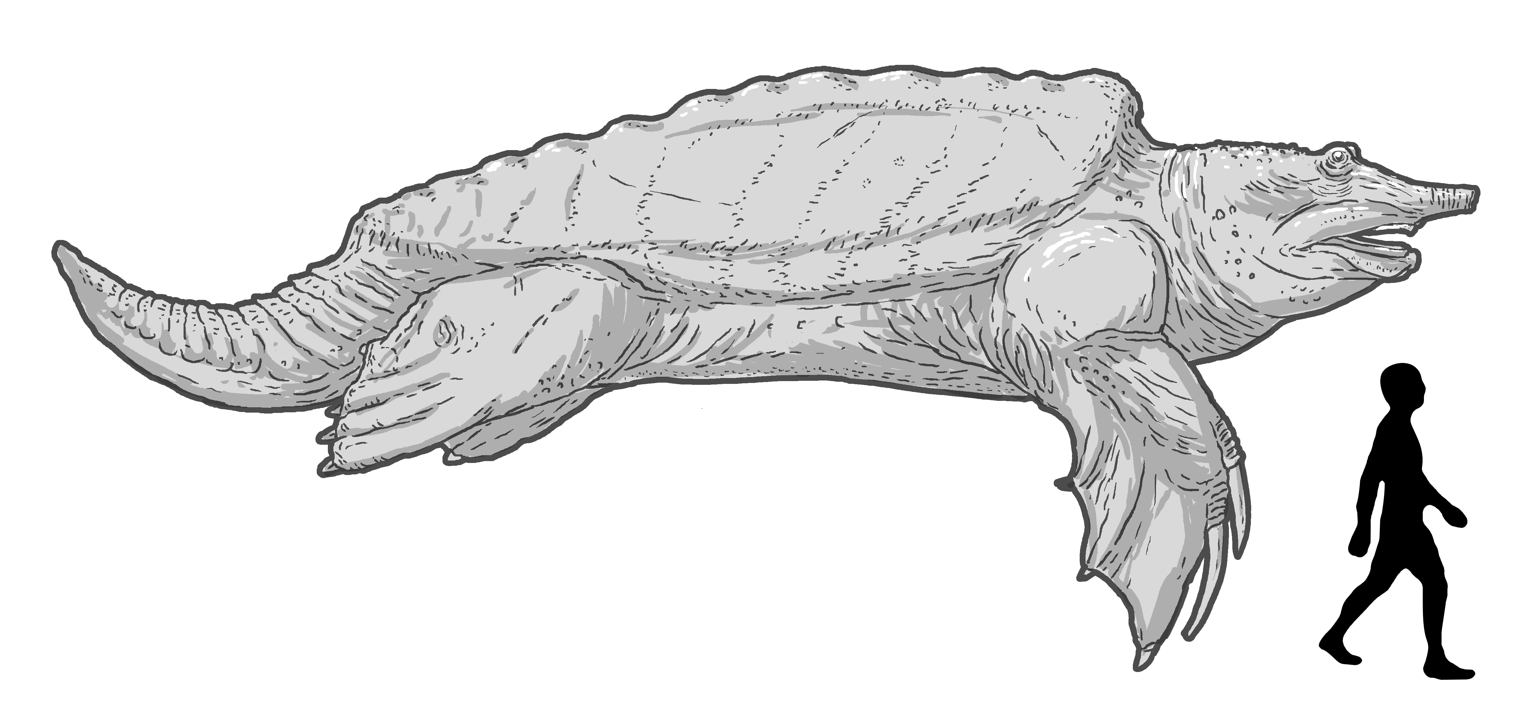 Therizinosaurus - The Turtle Beast