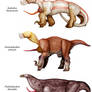 The Diversity of Kahydronts