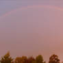 Rainbow (3)