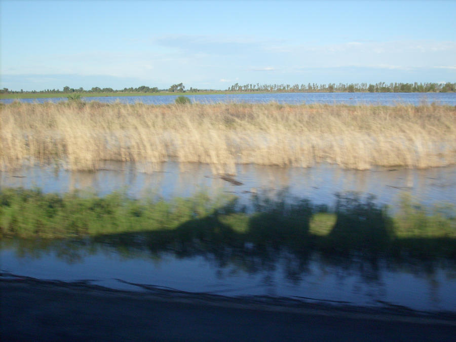 Floods (2012) - Mirrool Creek (9)