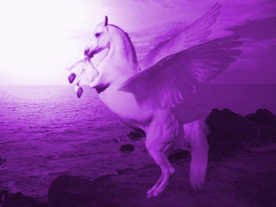 Purple Pegasus with Multicolored Hair - wide 1